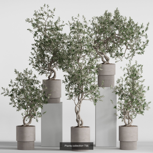 Plants collection vol 21