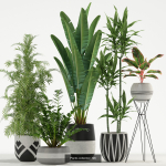 Plants collection vol 21