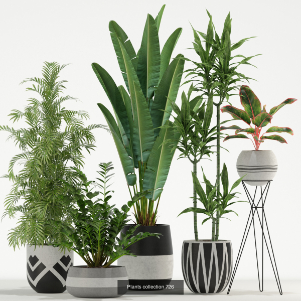 Plants collection vol 21