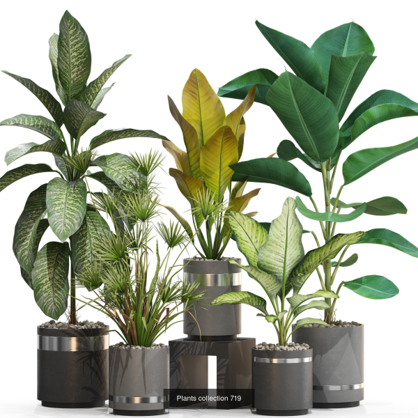 Plants collection vol 21