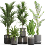Plants collection vol 21