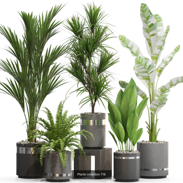 Plants collection vol 21