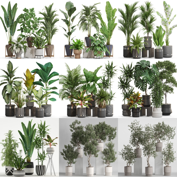 Plants collection vol 21