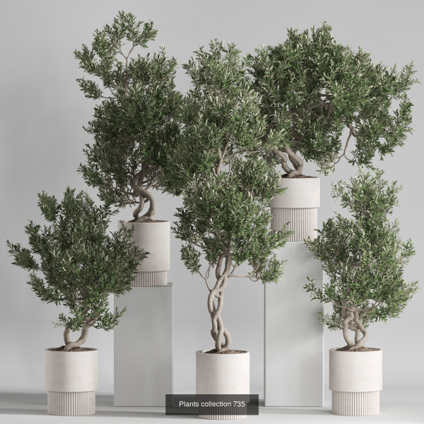 Plants collection vol 21