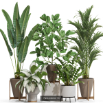 Plants collection vol 21