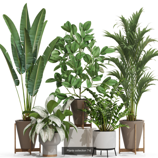 Plants collection vol 21