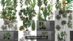 Plants collection vol 21