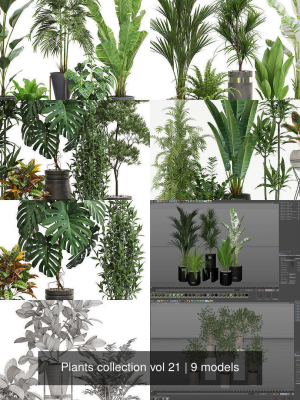plants-collection-vol-21-3d-model-e7a7dbee0f