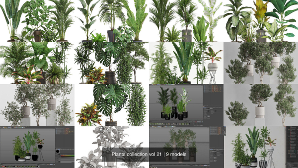 Plants collection vol 21