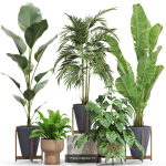 Plants collection vol 21