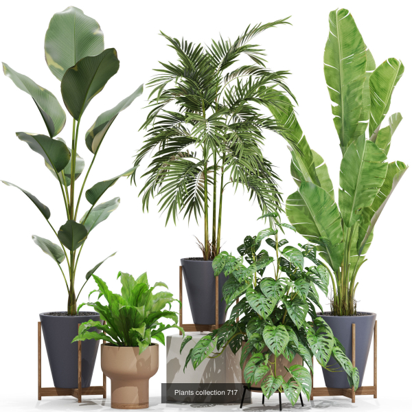 Plants collection vol 21