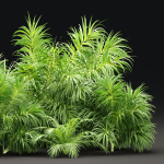 Plants collection vol 237