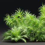 Plants collection vol 237
