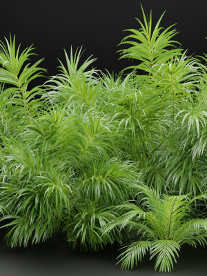 Plants collection vol 237-Blender