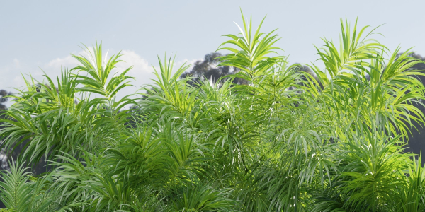 Plants collection vol 237-Blender