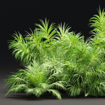 Plants collection vol 237-Blender