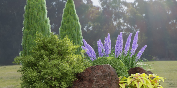 Plants for outdoor collection vol 177-Blender