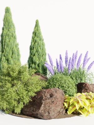 Plants for outdoor collection vol 177-Blender