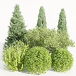Plants for outdoor collection vol 231-Blender