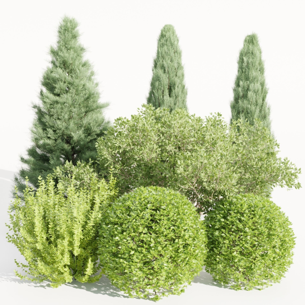 Plants for outdoor collection vol 231-Blender