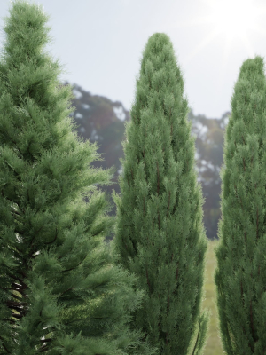 plants-for-outdoor-collection-vol-231-blender-3d-model-d1f589ee19