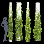 Plants Hanging On Pillars 01
