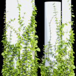 Plants Hanging On Pillars 01