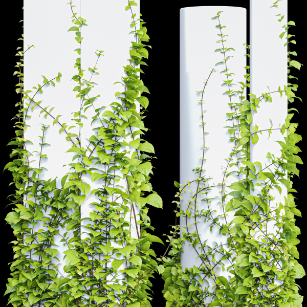 Plants Hanging On Pillars 01