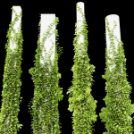 Plants Hanging On Pillars 01