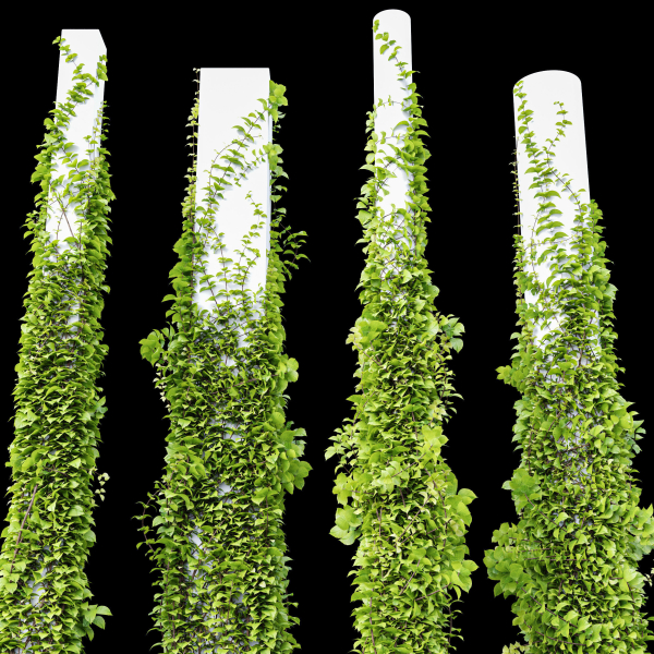 Plants Hanging On Pillars 01