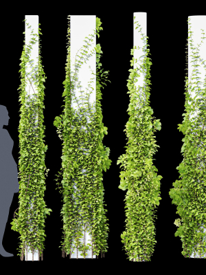 Plants Hanging On Pillars 01