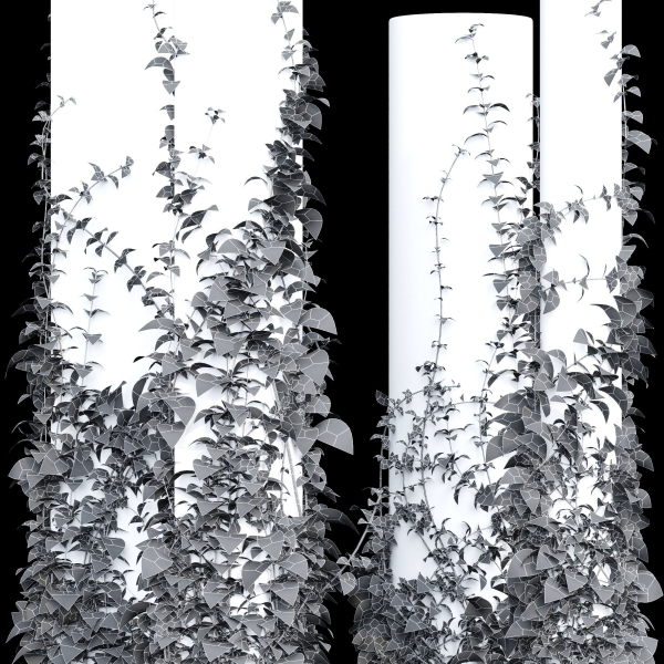 Plants Hanging On Pillars 01