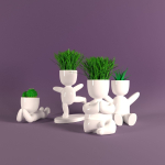 Plants in decorative pots