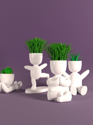 plants-in-decorative-pots-3d-model-max-fbx