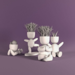 Plants in decorative pots