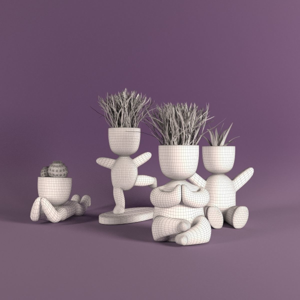 Plants in decorative pots