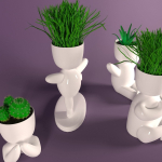 Plants in decorative pots