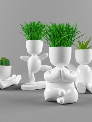 Plants in decorative pots