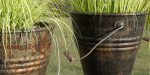 Plants in rusty metal pots collection vol 167-Blender