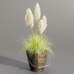 Plants in rusty metal pots collection vol 167-Blender