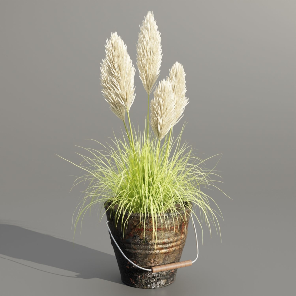 Plants in rusty metal pots collection vol 167-Blender