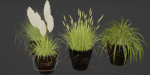 Plants in rusty metal pots collection vol 167-Blender