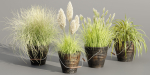 Plants in rusty metal pots collection vol 167-Blender