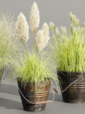 Plants in rusty metal pots collection vol 167-Blender