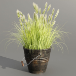 Plants in rusty metal pots collection vol 167-Blender