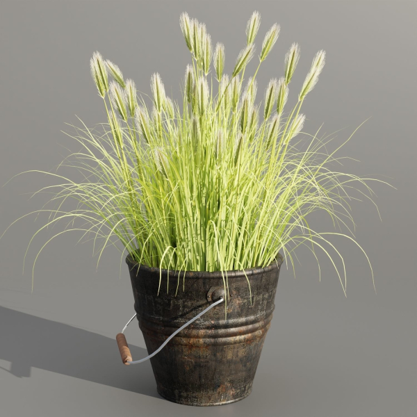 Plants in rusty metal pots collection vol 167-Blender