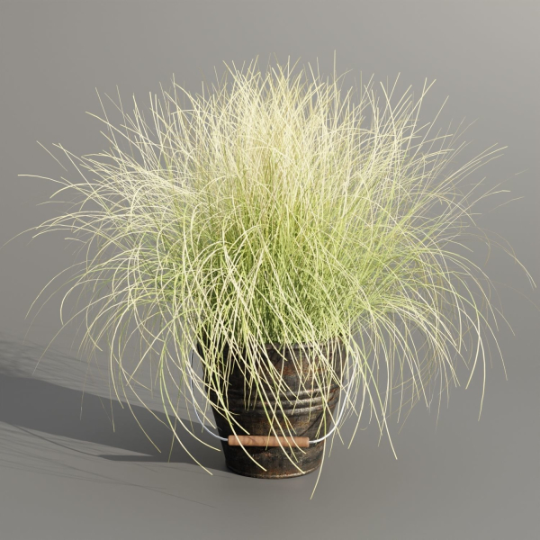 Plants in rusty metal pots collection vol 167-Blender