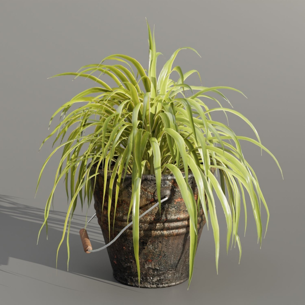 Plants in rusty metal pots collection vol 167-Blender