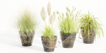 Plants in rusty metal pots collection vol 167-Blender