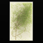 Plants in the light box vol 176-Blender